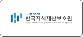 한국지식재산보호원