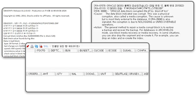 오라클 데이터 복구