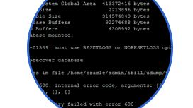 ORA-600으로 DB인스턴스가 다운된 증상 복구